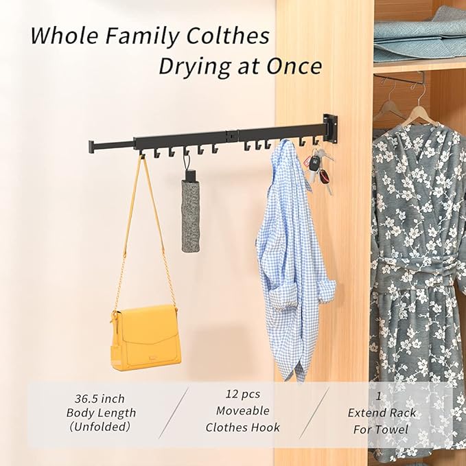 PLKO Retractable Clothes Drying Rack,Wall Mounted Clothes Hangers,Space Saver Laundry Drying Rack for Balcony,Laundry,Bathroom,Patio and Bedroom (2-Pole Black)