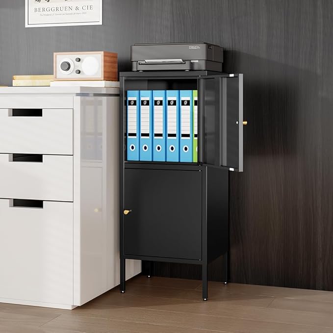 2 Doors Locker Metal Storage Cabinet (Small Cabinet, Black)