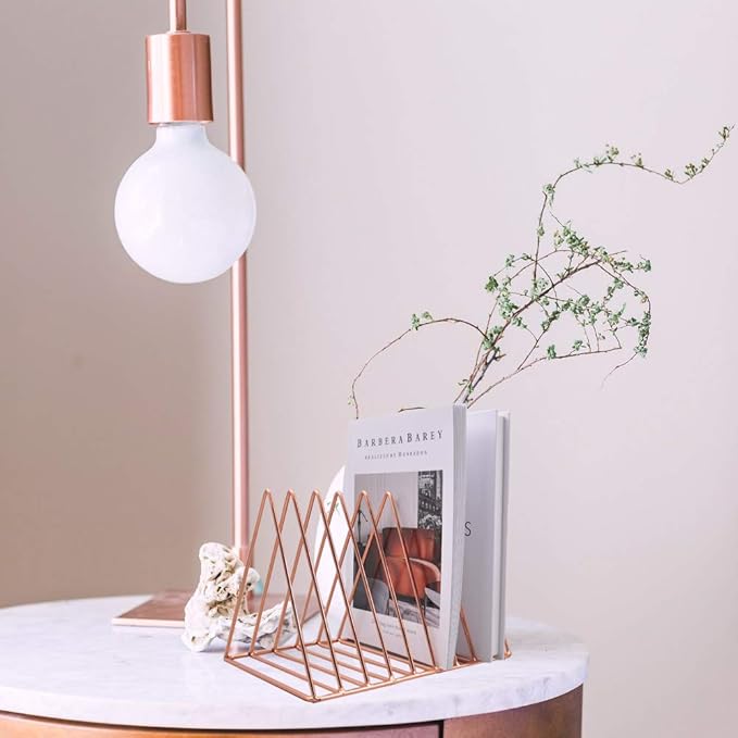EASEPRES 9 Slot Magazine Rack Book Record Holder, Desktop Iron Storage Rack Bookshelf Multifunction Triangle File Organizer Sorter for Decor Home Office, Rose Gold Pack of 2