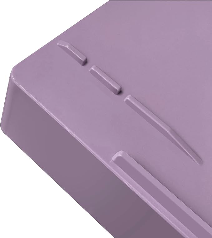 Acrimet Stackable Letter Tray 2 Tier Side Load, Plastic, Desktop File Organizer (Solid Purple Color)-NeatNest