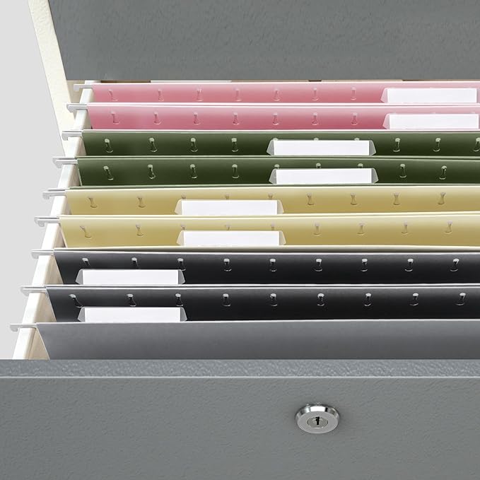 BALEINE 32PK Hanging File Folders, Letter Size Hanging Folders with 1/5-Cut Tabs for Filing Cabinets, File Boxes (32PK, Letter Size)