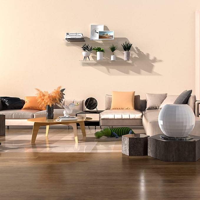 Acrylic Wall Shelves 36 24 12 Inches, Clear Floating Shelf for Wall, Wall Mounted Display Shelves for Plants, Radio, Funko Pop, Stuffed Animal, Books, Clock, Cosmetics, Toiletries-NeatNest