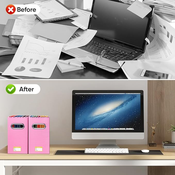 BALEINE File Organizer Box, Cardboard File Folder Organizer with Handle for Letter Size, Portable Collapsible Hanging Filing Box for Home Office Document Storage (2 Pack, Pink)-NeatNest