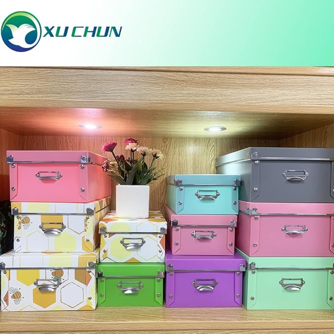 XUCHUN Plastic Decorative Storage Plastic Box with Lids for Closet,Foldable Storage Bins, 3 Pack/Set-NeatNest