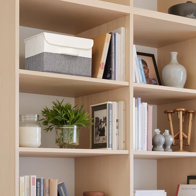 GRANNY SAYS Small Storage Bins with Lids, Small Storage Boxes, Shelf Baskets for Shelf, Collapsible Storage Bins for Living Room, Bedroom, 10x8x7 Inch, White/Gray, 2-Pack-NeatNest