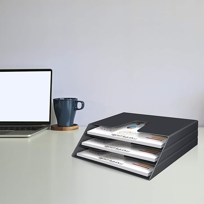 Acrimet Horizontal Triple File Folder Holder Organizer (Black Color)