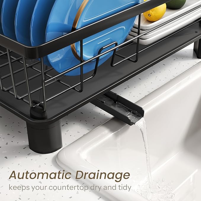 Dish Drying Rack - Small Dish Rack for Kitchen Counter, Stainless Steel Dish Drainer with Utensil Holder and Drainboard (Black)