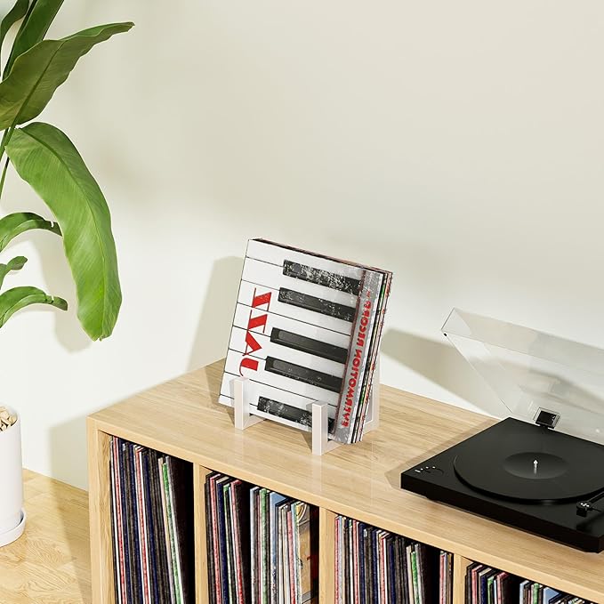 2 Set Vinyl Records Storage Holder, LP Stand CD Display Frame,Metal Album Storage for Vinyl Records (White)