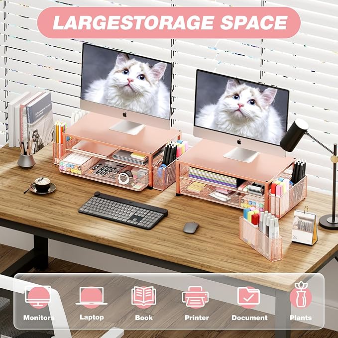 Desk Organizers and Accessories, 2-Tier Computer Monitor Stand Riser with Drawer and 2 Pen Holders, Laptop Stand, Office Desk Accessories for Office Supplies, Rose Gold