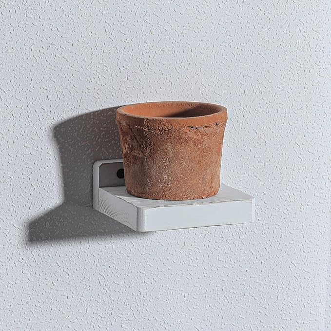 Freezing point Small Floating Shelves for Wall Set of 2 Natural Wood 4Inch Mini White Wall Shelf Decor Plant Display Collectibles Mounted Kitchen Bathroom Bedroom Corner Decorative Storage Tiny Stand-NeatNest