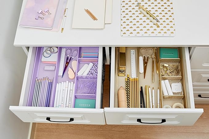 Annova Desk Top Organizer Tray for Office Organization - Metal Mesh - Storage Tray with Dividers for Pens, Desktop Accessories, Bathroom, Kitchen, Makeup and Office Supplies (Large, Gold)-NeatNest