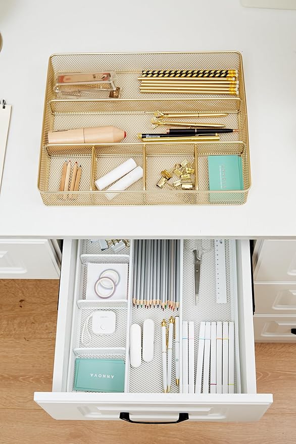 Annova Desk Top Organizer Tray for Office Organization - Metal Mesh - Storage Tray with Dividers for Pens, Desktop Accessories, Bathroom, Kitchen, Makeup and Office Supplies (Large, Gold)-NeatNest
