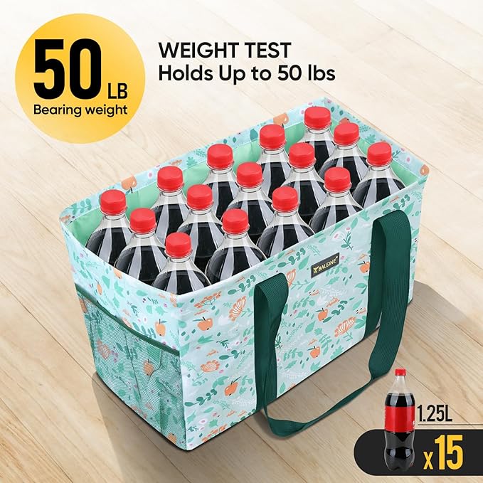 BALEINE Soft 9 Gallon Extra Large Utility Tote, Foldable Reusable Storage Bag (Spring Stroll)-NeatNest