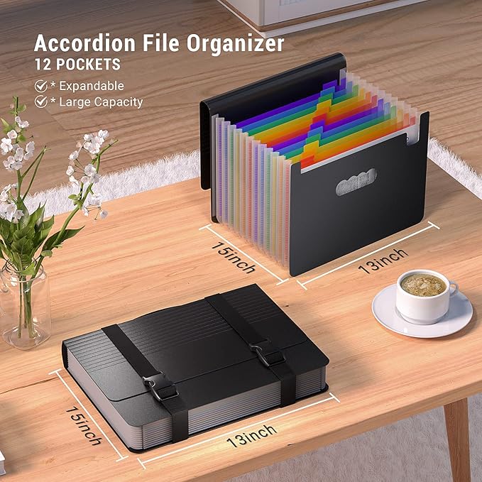 Accordion File Organizer,Expanding File Folders with Handle,12 Pockets Accordian Document Organizer Expandable Filing Box,Portable File Box for Paper Receipt Bill,A4/Letter Size,2 Tabs,Frosted