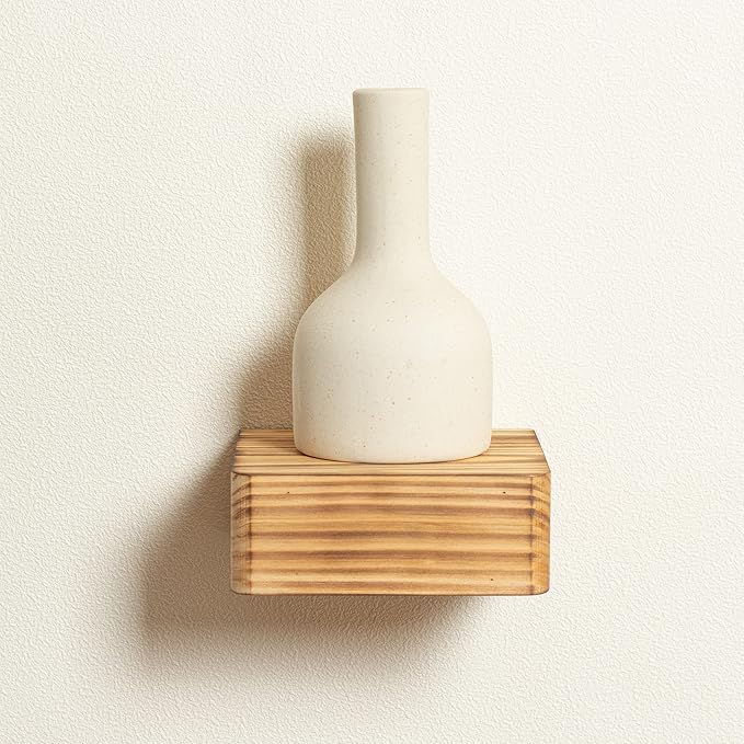 Freezing point Small Floating Shelf,Mini Wall Shelves for Kitchen Bedroom Living Room Bathroom Wall Decor Plant Display Collectibles Corner Decorative Storage Tiny Carbonize-NeatNest