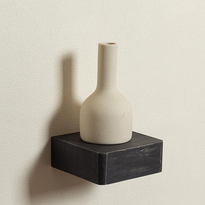 Freezing point Small Floating Shelf,Mini Wall Shelves for Kitchen Bedroom Living Room Bathroom Wall Decor Plant Display Collectibles Corner Decorative Storage Tiny Black-NeatNest
