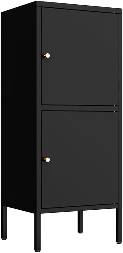 2 Doors Locker Metal Storage Cabinet (Small Cabinet, Black)