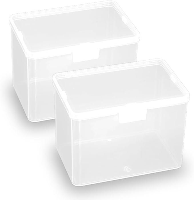 Clear Rectangle Mini Storage Containers Box with Lid (4.53 x 2.95 x 3.39 inch), Rectangular Containers Case for Pills, Jewellery, Tiny Bead, Herbs, Craft Items, 2 Pack-NeatNest