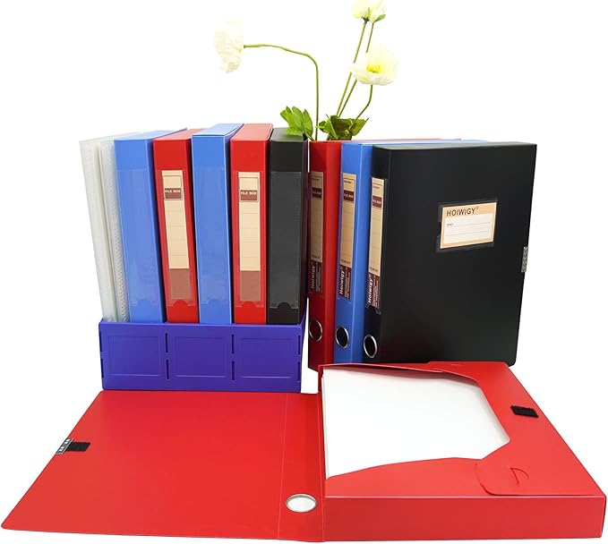 Foldable A4 Document Box with Lid, Pack of 3 Plastic Archive Cases, 31x24x4cm, File Folder Organizer Document Storage File Boxes for Office, School, Letter Size Paper (Multicolor)