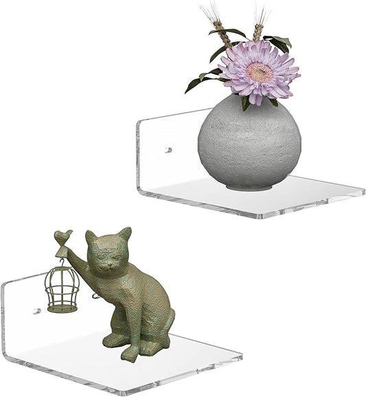 6 Inches Acrylic Small Wall Shelves 2 Pack, Floating Shelf for Wall Mounting, Acrylic Display Ledges for Funko Pop Figures, Home Décor, Living Room, Gaming Room, Plants(6 inch, Clear)-NeatNest