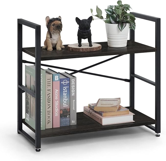 CAPHAUS 2 Tier Small Bookshelf, 24 Inch Width Free Standing Shelf, Bookcase Shelf Storage Organizer, Industrial Book Shelves for Home Office, Living Room, Black Shelves & Metal Frame-NeatNest