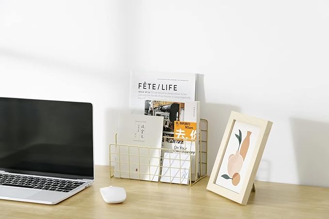 JIARI Decorative Book Organizer Magazine Holder Mail Sorters 3-Slot, Desktop File Sorter Organizer Bookshelf Bookends Book End, Metal Bookend (Gold)