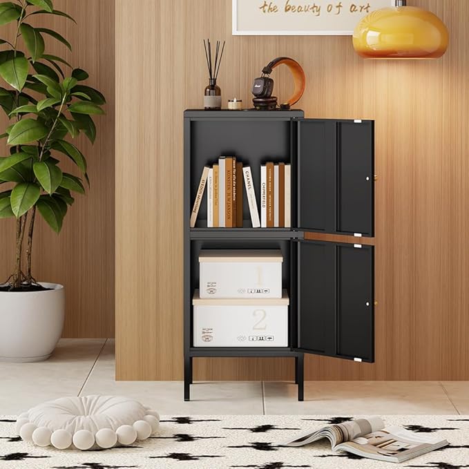 2 Doors Locker Metal Storage Cabinet (Small Cabinet, Black)