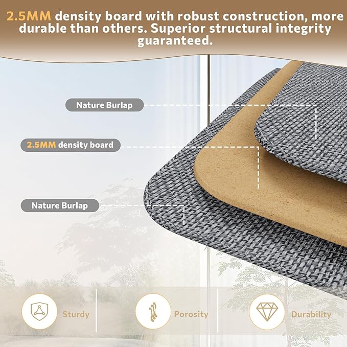 2 Pack Shoe Organizer For Closet, Fits 16-32 Pairs Fabric Shoe Storage Bins Large Shoe Box Storage Containers with Bottom Support For Shoes Space Saving Shoes Holder (Dark Grey)-NeatNest