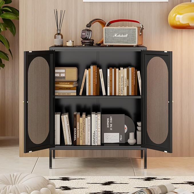 2 Door Metal Mesh Storage Cabinet with 1 Adjustable Shelves-Steel Locker Cabinet for Living Room, Bedroom, Hallway, Office Room, Home, Hotel, Kitchen, Garage, 2-Tier (Mesh Door, Black)
