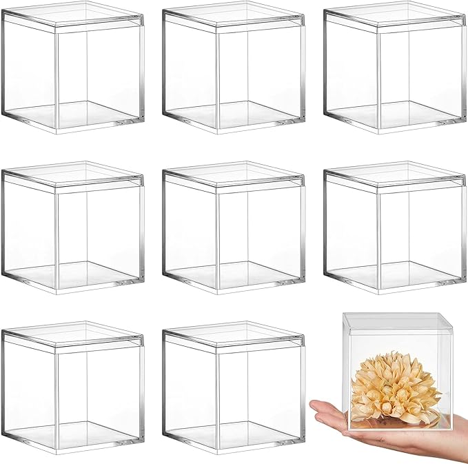Blulu 8 Pieces Clear Acrylic Plastic Jewelry Box Mini Storage Box Mini Cube Containers with Lids for Candy Pill and Tiny Jewelry(Square,3.9 x 3.9 x 3.9 Inch)-NeatNest
