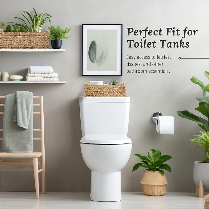 DECOMOMO Wicker Storage Basket, Back of Toilet Basket, Bathroom Organizer, Toilet Tank Tray, Countertop, Home Decor (Beige, Set of 2)-NeatNest