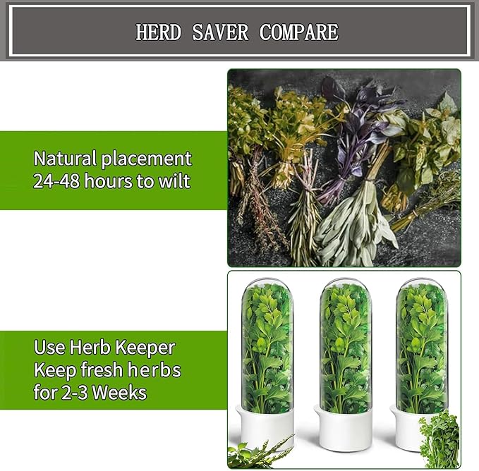 Herb Saver for Refrigerator, Cilantro Container for Fridge, Fresh Herbs Lettuce Keeper for Refrigerator Parsley Mint Leaves Fresh Herb Keeper, Refrigerato Storage for Fresh for 2-3 Weeks (3PCS)