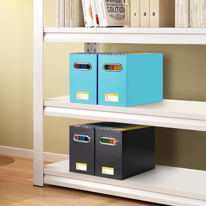 BALEINE File Organizer Box, Cardboard File Folder Organizer with Handle for Letter Size, Portable Collapsible Hanging Filing Box for Home Office Document Storage (2 Pack, Blue)-NeatNest