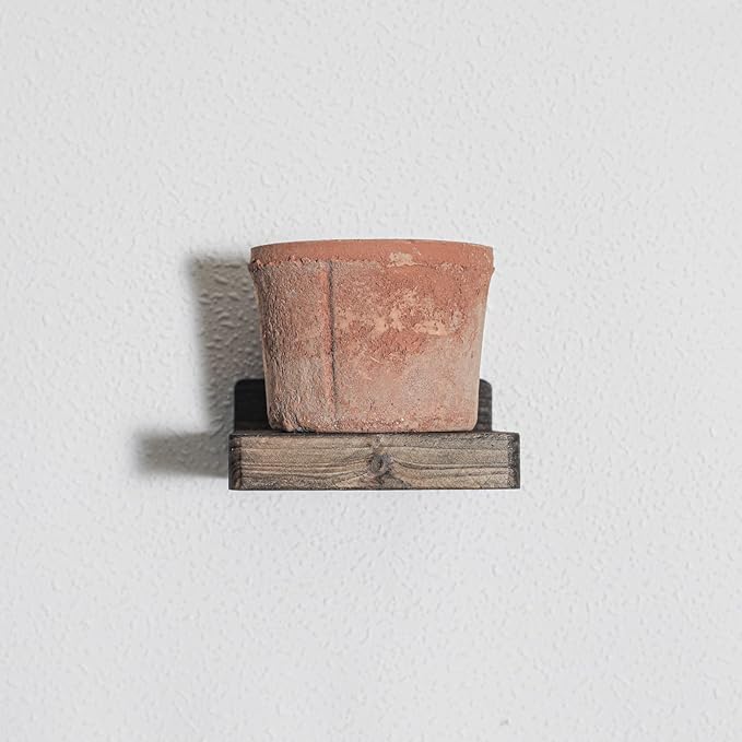 Freezing point Small Floating Shelves for Wall Set of 2 Natural Wood 4Inch Mini Wall Shelf Decor Plant Display Collectibles Mounted Kitchen Bathroom Bedroom Corner Decorative Storage Tiny Stand Brown-NeatNest