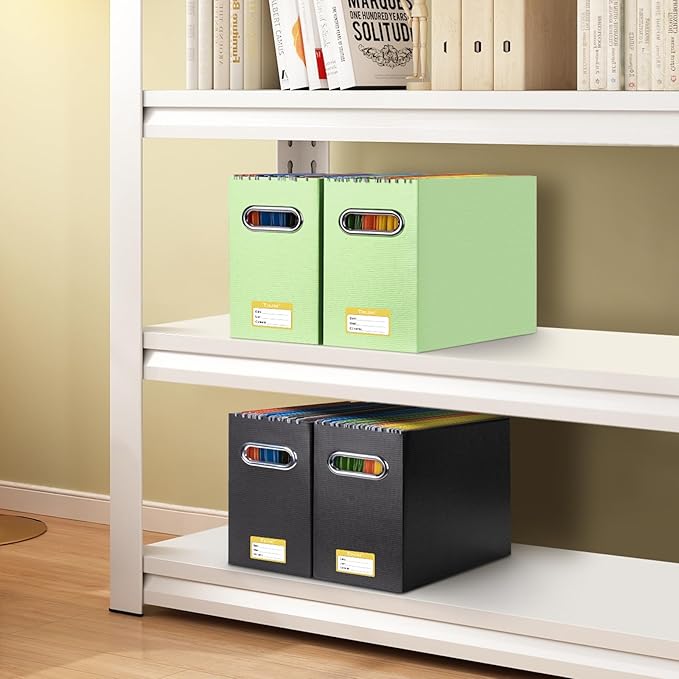 BALEINE File Organizer Box, Cardboard File Folder Organizer with Handle for Letter Size, Portable Collapsible Hanging Filing Box for Home Office Document Storage (4 Pack, Green)-NeatNest