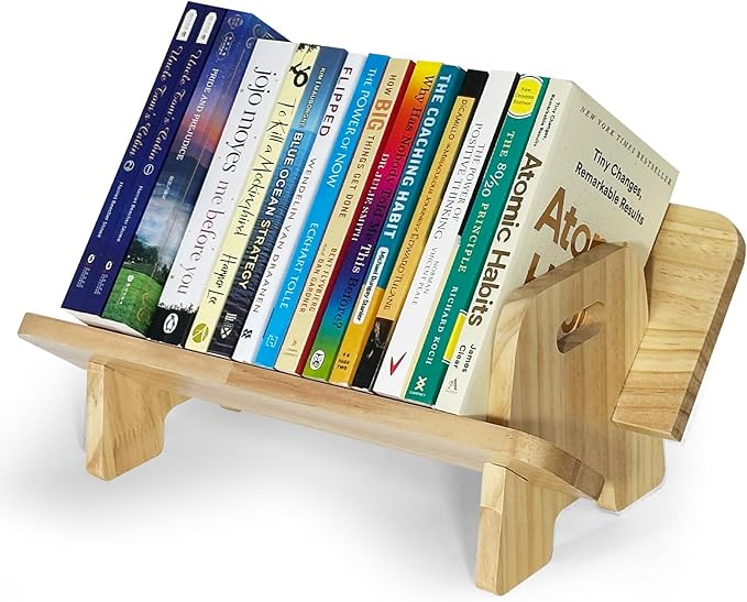 Couch-Style Desktop Bookshelf Organizer - Natural Wood Desk Top Bookshelf for Books, CDs, Magazines, Space-Saving for Home Office/Dorm (1, Oblong)-NeatNest