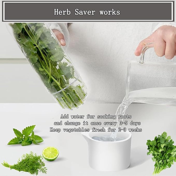Herb Saver for Refrigerator, Cilantro Container for Fridge, Fresh Herbs Lettuce Keeper for Refrigerator Parsley Mint Leaves Fresh Herb Keeper, Refrigerato Storage for Fresh for 2-3 Weeks (3PCS)