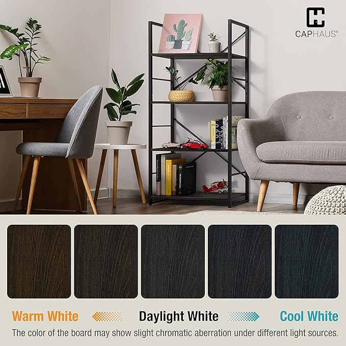 CAPHAUS 2 Tier Small Bookshelf, 24 Inch Width Free Standing Shelf, Bookcase Shelf Storage Organizer, Industrial Book Shelves for Home Office, Living Room, Black Shelves & Metal Frame-NeatNest