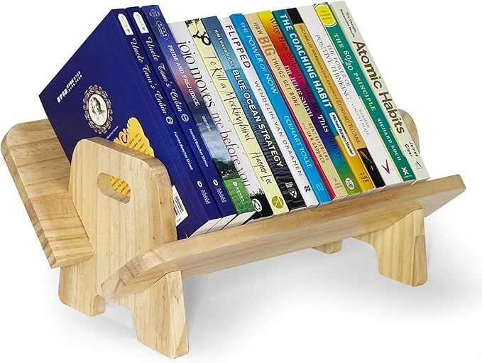 Couch-Style Desktop Bookshelf Organizer - Natural Wood Desk Top Bookshelf for Books, CDs, Magazines, Space-Saving for Home Office/Dorm (1, Oblong)-NeatNest