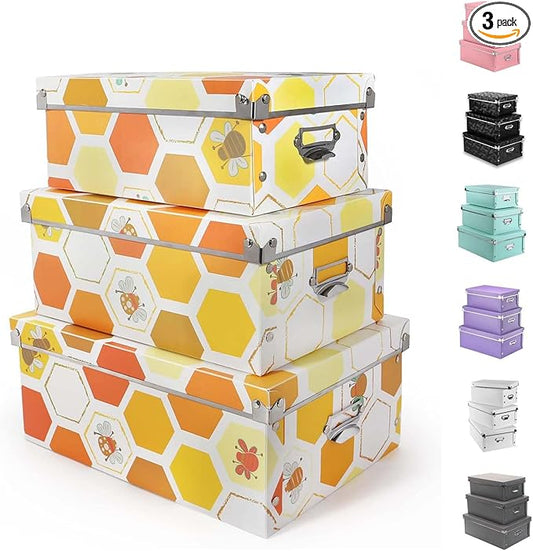 XUCHUN Plastic Decorative Storage Plastic Box with Lids for Closet,Foldable Storage Bins, 3 Pack/Set-NeatNest