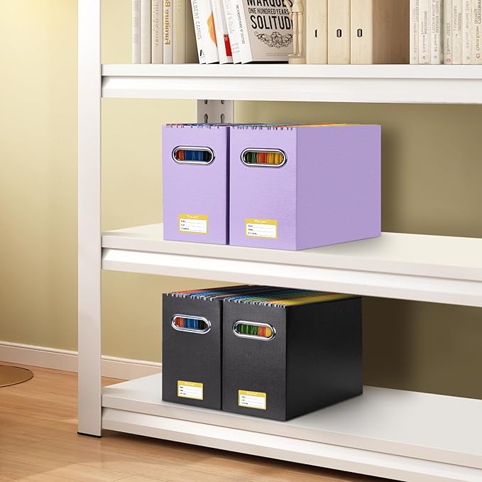 BALEINE File Organizer Box, Cardboard File Folder Organizer with Handle for Letter Size, Portable Collapsible Hanging Filing Box for Home Office Document Storage (2 Pack, Lavender)-NeatNest