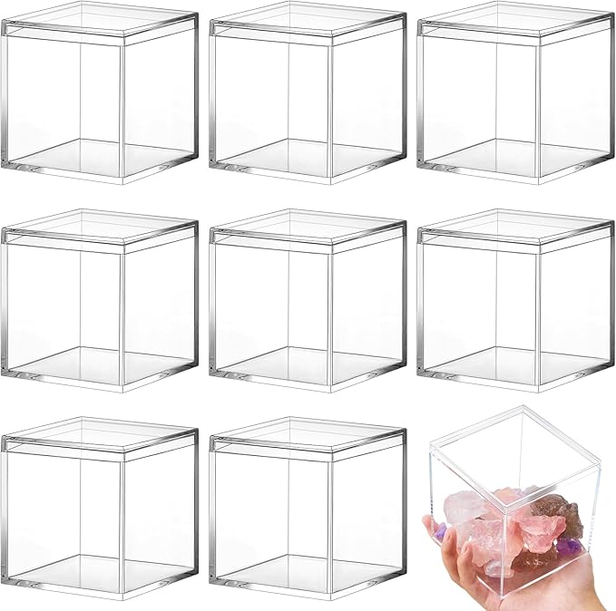 Blulu 8 Pieces Clear Acrylic Plastic Jewelry Box Mini Storage Box Mini Cube Containers with Lids for Candy Pill and Tiny Jewelry(Square,4.72 x 4.72 x 4.72 Inch)-NeatNest