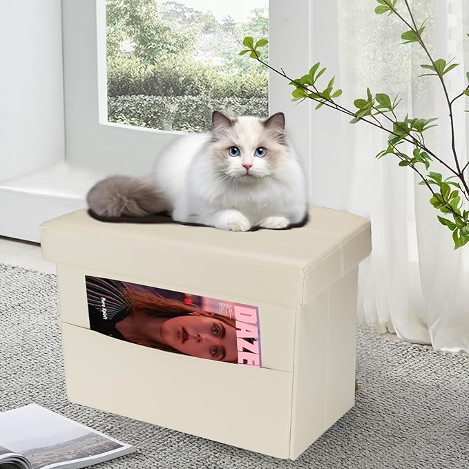 AmasSmile Storage Ottoman Folding Foot Rest Stool with Side Pocket, 16 inch Leather Footstool Bench, Short Ottoman Bench, Storage Foot Rest Store, Books (Beige-2)-NeatNest