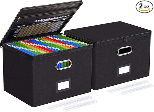 Oterri 2 Pack Large File Organizer Boxes with Lids, File Box with Mesh Pockets, Document Organizer Box for Letter/Legal Size Folders, Zippers Important Document Organizer (Black, Without Folders)