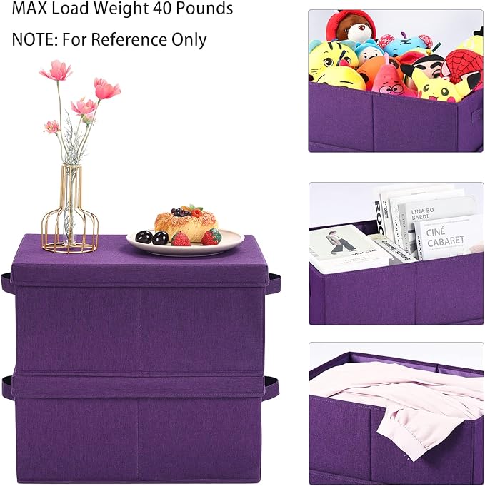 HOONEX Storage Bins with Lids for Organizing, Pack of 2, Storage Boxes with 2 Carry Handles and Sturdy Heavy Cardboard, 16.5" L x 11.8" W x 7.5" H for Shoes, Books, Clothes, Nursery, Dark Purple-NeatNest