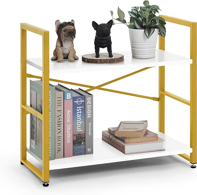 CAPHAUS 2 Tier Small Bookshelf, 24 Inch Width Free Standing Shelf, Bookcase Shelf Storage Organizer, Industrial Book Shelves for Home Office, Living Room, White Wooden Shelves & Gold Frame-NeatNest