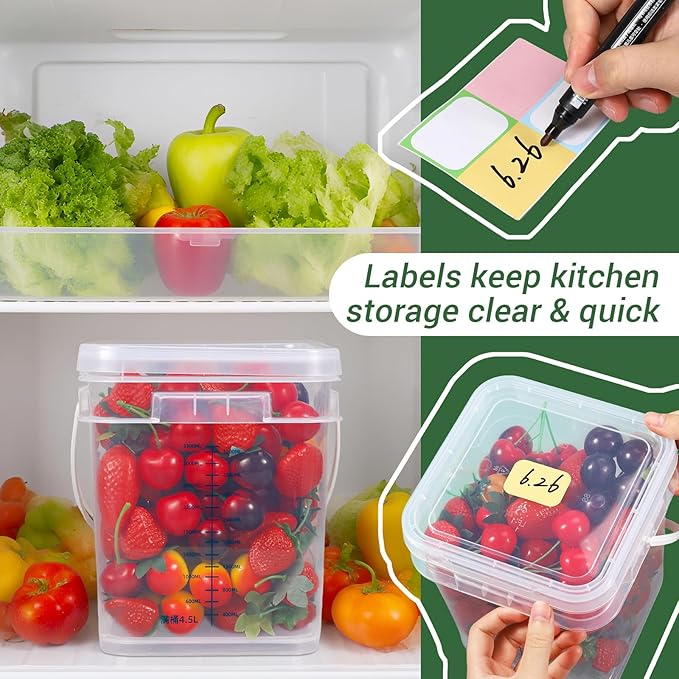 1Gal Clear Square Bucket with Airtight Lids, BPA-Free Food Storage Container for Kitchen Pantry, Meal Prep, Snack, Rice, Flour, Pet Food - Transparent Bucket with Scale Marks (2x4 Qt, 2x1 Qt)