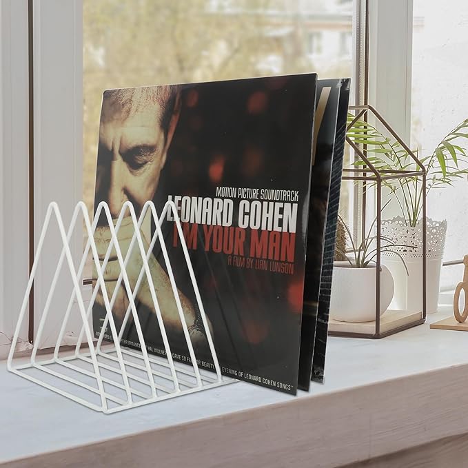 EASEPRES Vinyl Record Holder Storage, 9 Slot Metal Magazine Book Album Display Rack, Stylish Triangle Desktop File Sorter Organizer for Home Office, White