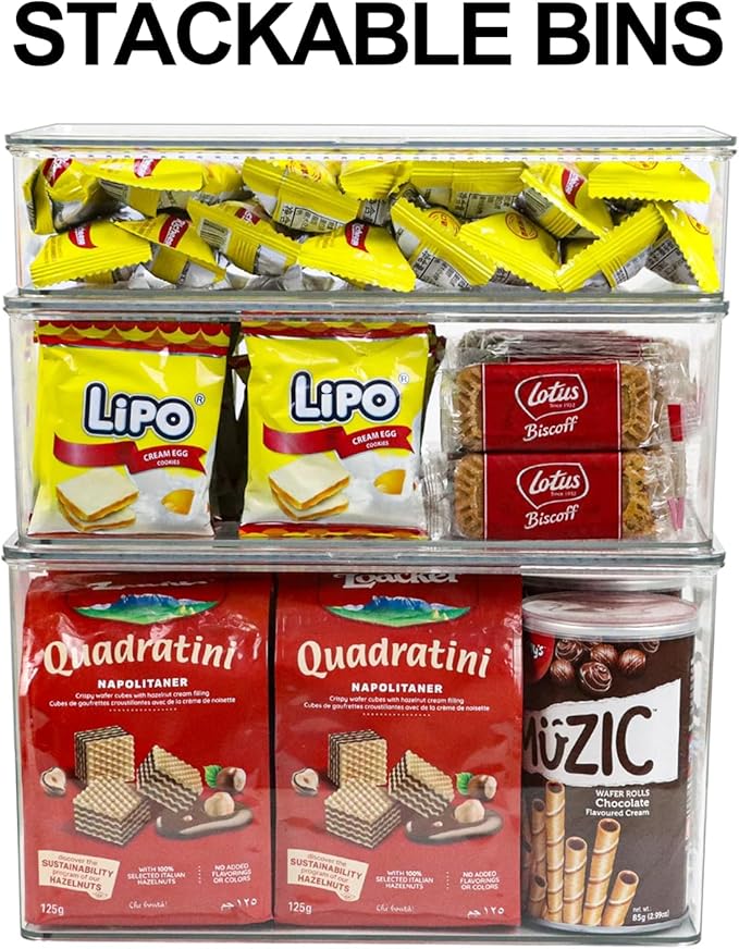 Clear Plastic Storage Bin with Lid, Organizer for Pantry, Office, Bathroom, Kitchen, Snack, Tea Bag, Coffee Container (Large)-NeatNest