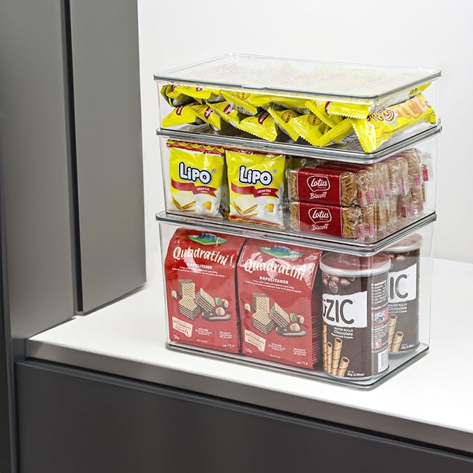 Clear Plastic Storage Bin with Lid, Makeuo Holder, Fridge Organizer, Refrigerator Organizers and Storage, Small Container for Pantry, Office, Dresser, Bathroom, Kitchen, Snack